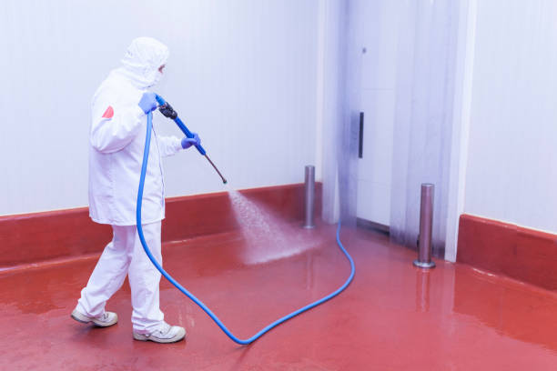 Best Paint Preparation  in Lynwood, IL