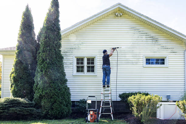 Best Parking Lot and Garage Cleaning  in Lynwood, IL